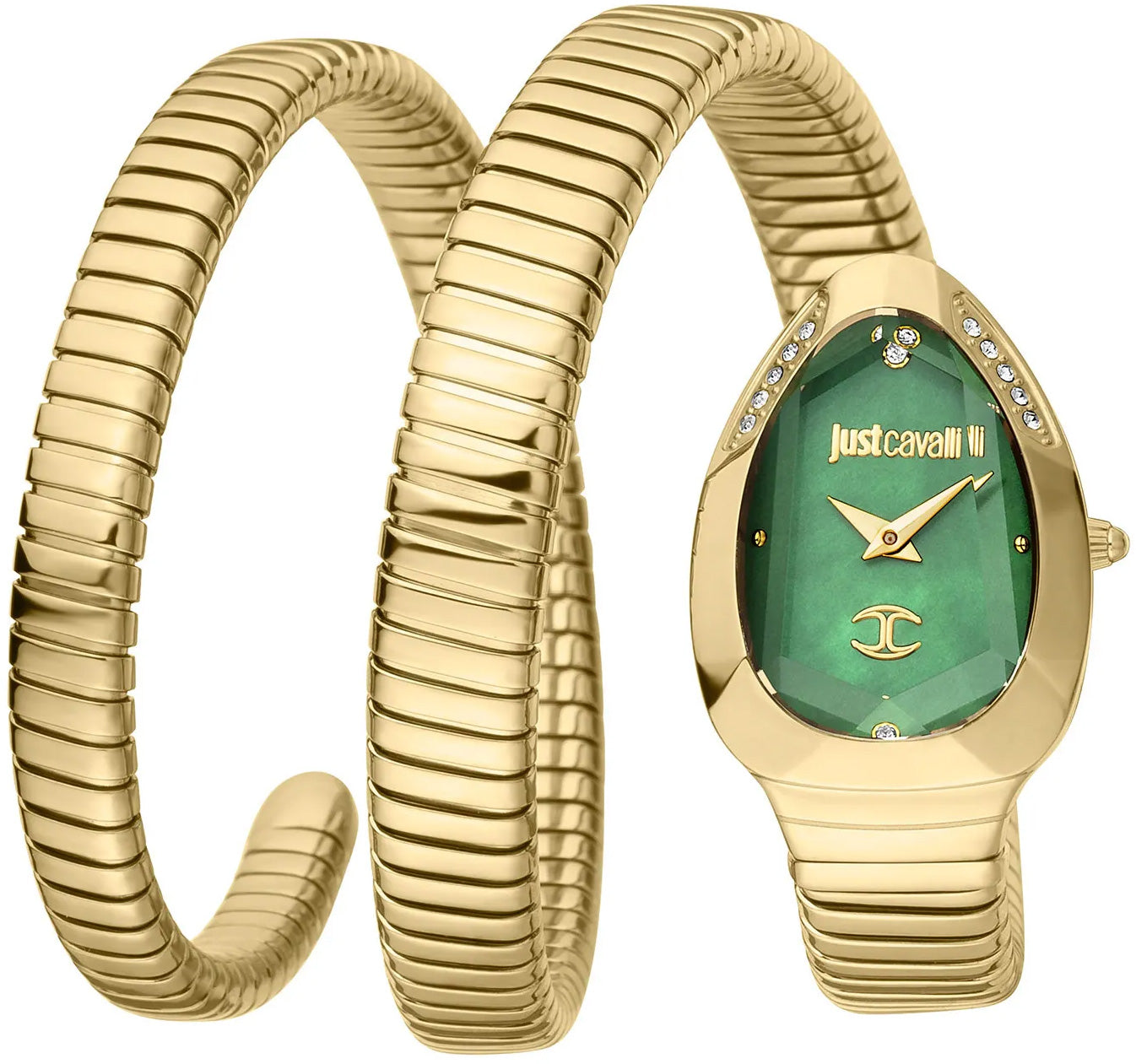 Just Cavalli JC1L209M0045 Kadýn Kol Saati