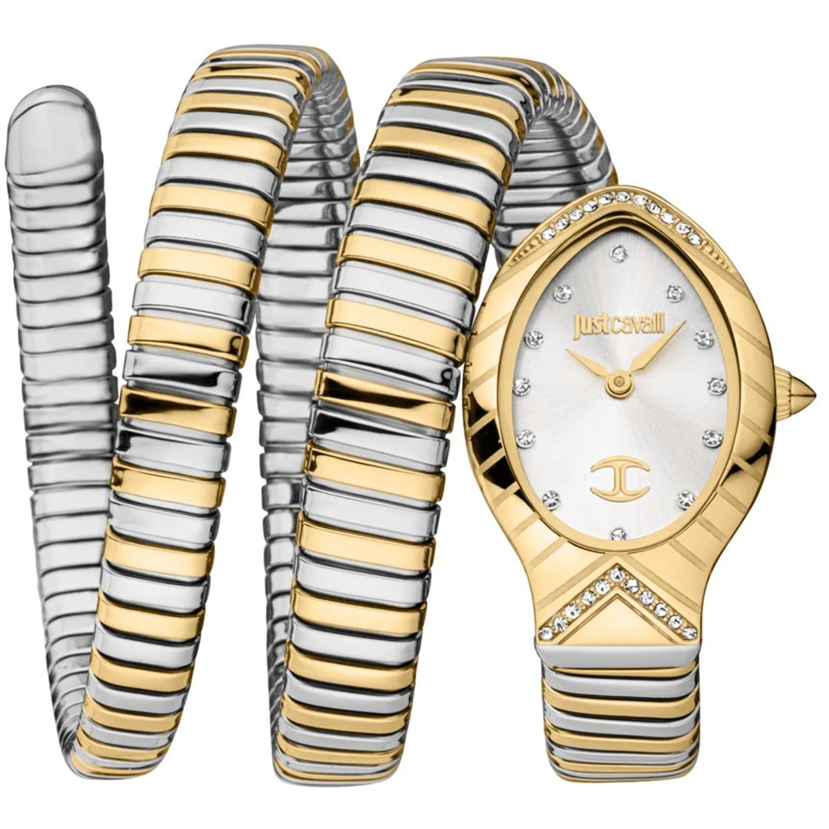 Just Cavalli JC1L248M0055 Kadýn Kol Saati