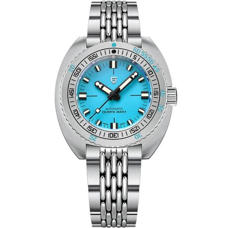 Pagani Design PD-1719-2 Japan NH38A Otomatik Erkek Kol Saati